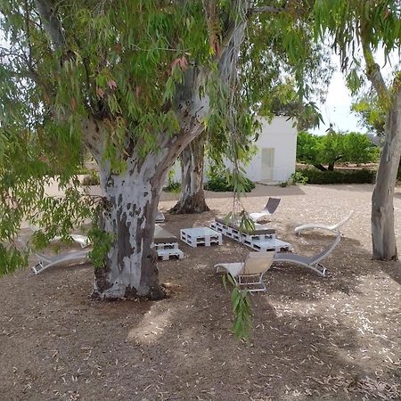 Terreamare Agriturismo Porto Cesareo Εξωτερικό φωτογραφία