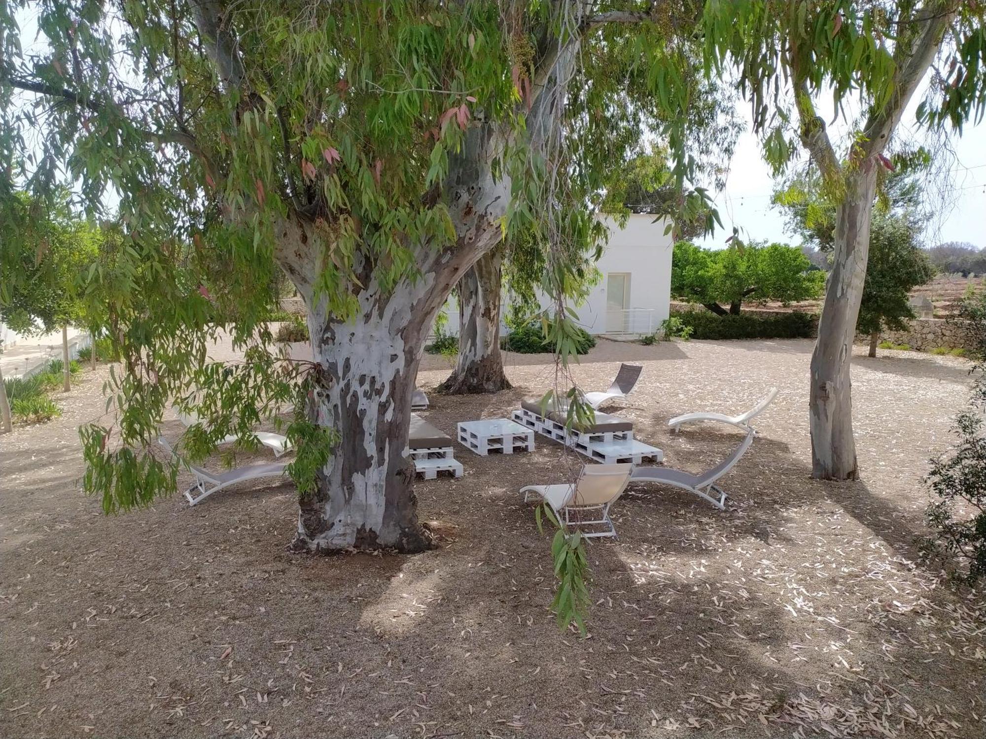 Terreamare Agriturismo Porto Cesareo Εξωτερικό φωτογραφία