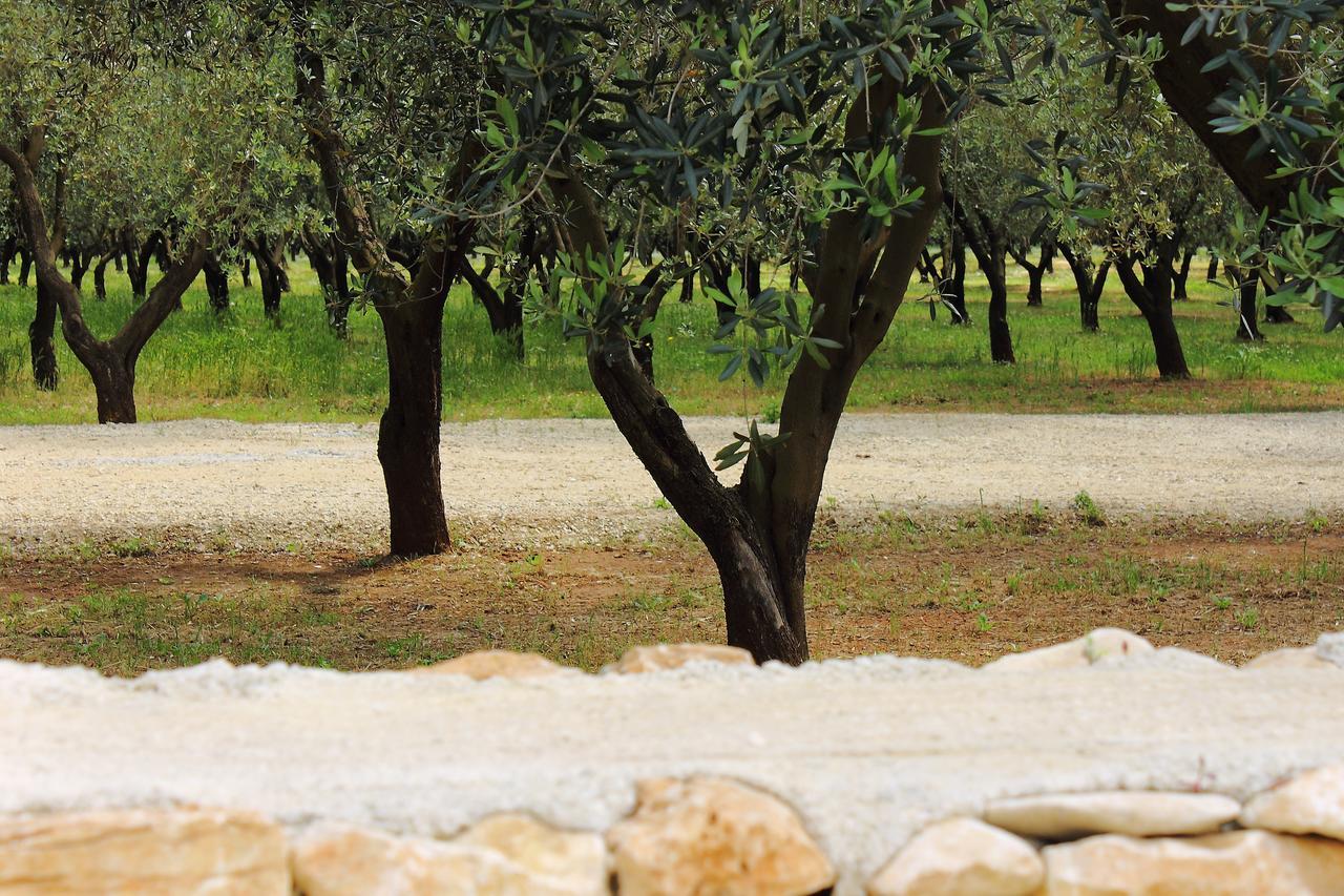 Terreamare Agriturismo Porto Cesareo Εξωτερικό φωτογραφία